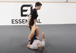 single-leg-x-guard_3.png