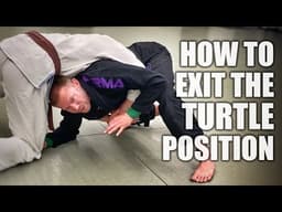 Getting Out of Turtle Postion | Jiu-Jitsu Transitions