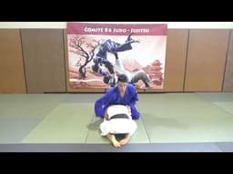 Ude Hishigi Waki Gatame