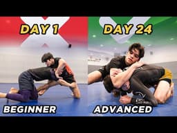 How to Develop a Black Belt Level Darce in 24 Days
