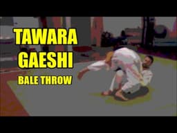 BASIC TECHNIQUE SERIES TAWARA GAESHI