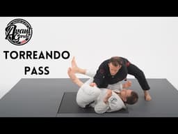 Torreando pass like Leandro LO ! Bullfighter BJJ Pass