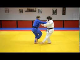 79.🥋  燕返し  Tsubame Gaeshi