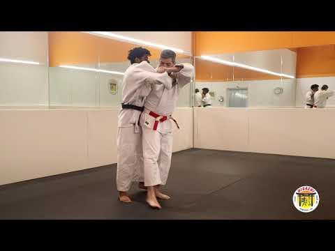 Yama Arashi Part I: Basic Form