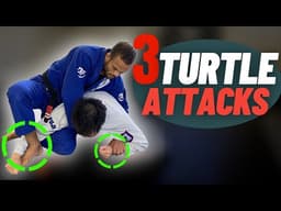 3 Ways to Finish From Turtle Position ( Every White Belt MUST Know)