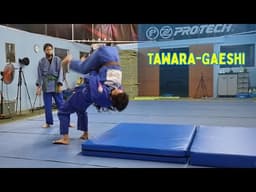 Tawara-Gaeshi