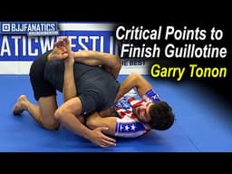 Guillotine - Critical Points to Finish by Garry Tonon