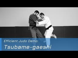 Tsubame-gaeshi - Demo