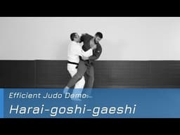 Harai-goshi-gaeshi - Demo
